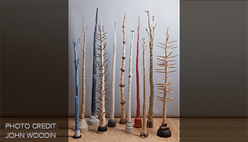 Exhibition | Linda Brenner: Understory