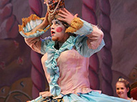 Mid Atlantic Youth Ballet and Center for Dance Education Concerts